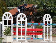 Paini Rosa Cocktail GioCav2013 S6 7681 : Campionati Italiani Giovani Cavalli, Cattolica, Paini Paolo, Rosa Cocktail, ph Stefano Secchi ©